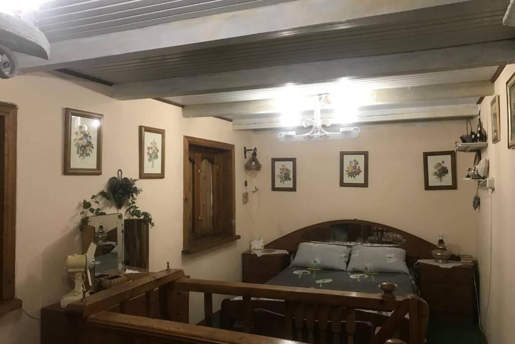 Uedinennyi domik na beregu dnepra - Housity
