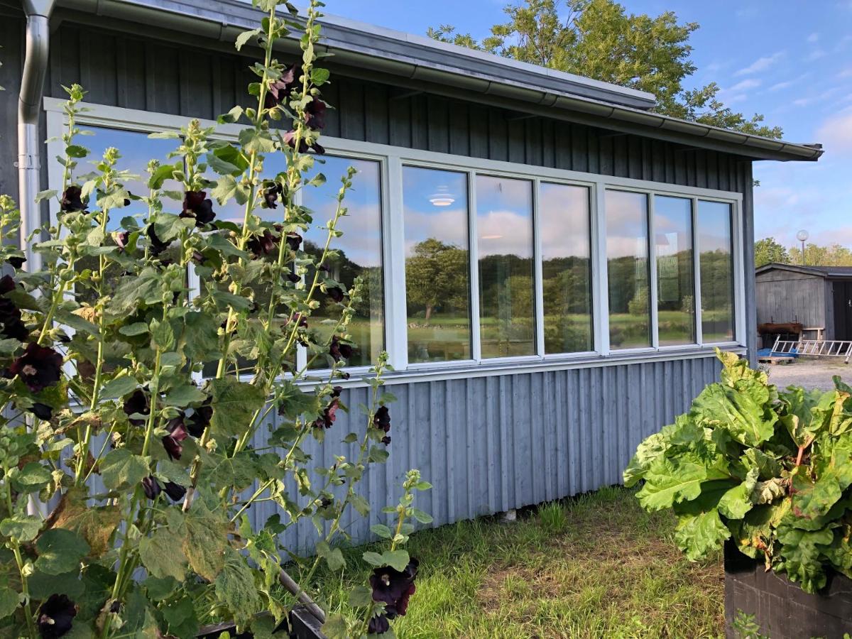 Mysig nybyggd stuga nära hav och natur - Housity