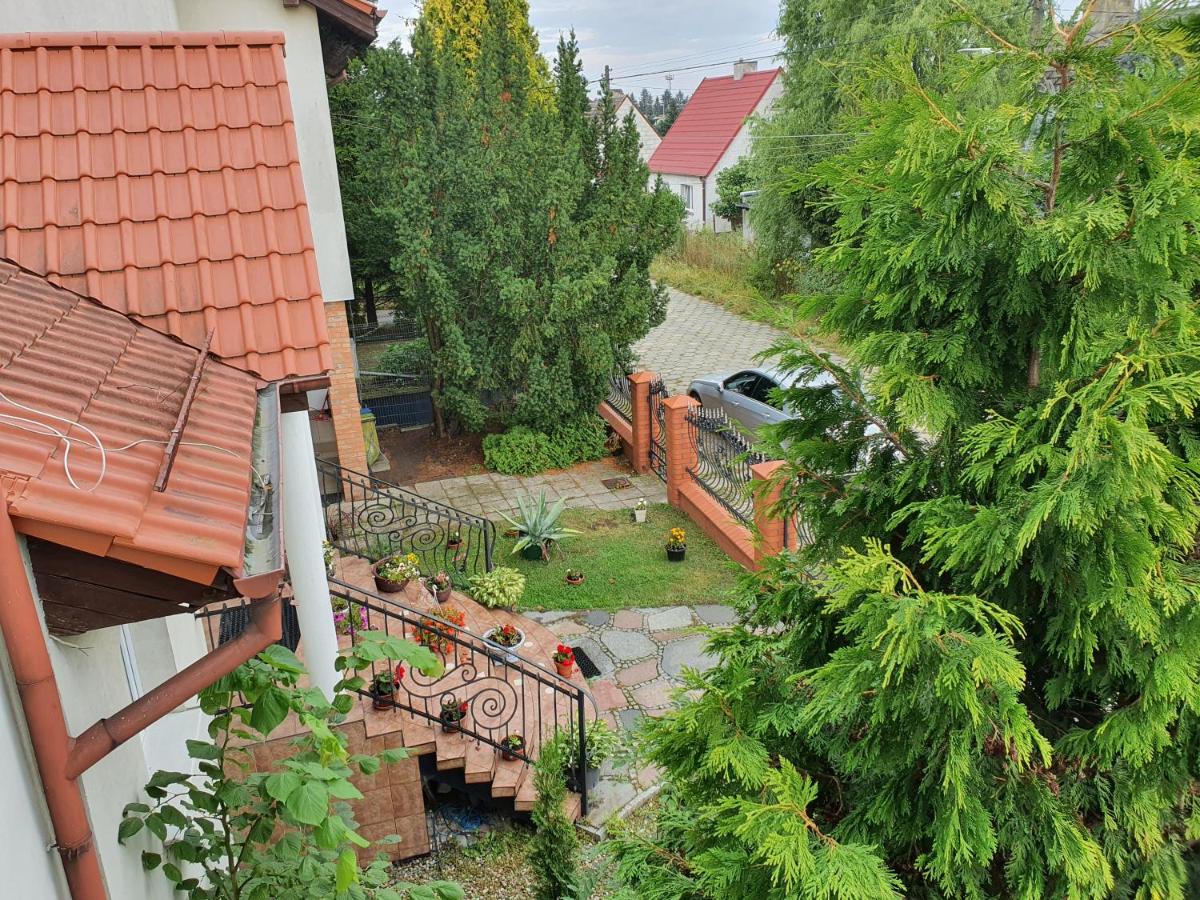 Apartament Zibi - Hizvo