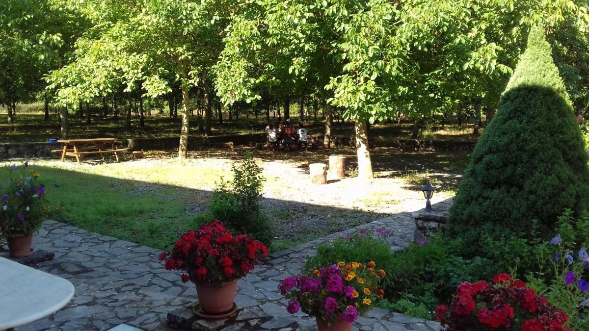 Andrea Sofi Guesthouse - Housity