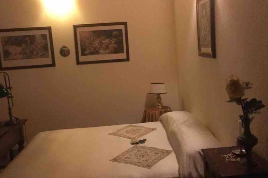 Palazzo Costantini Ludovica Home - Housity