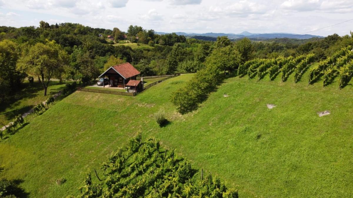 Robinzonski smještaj Green Peak - Housity