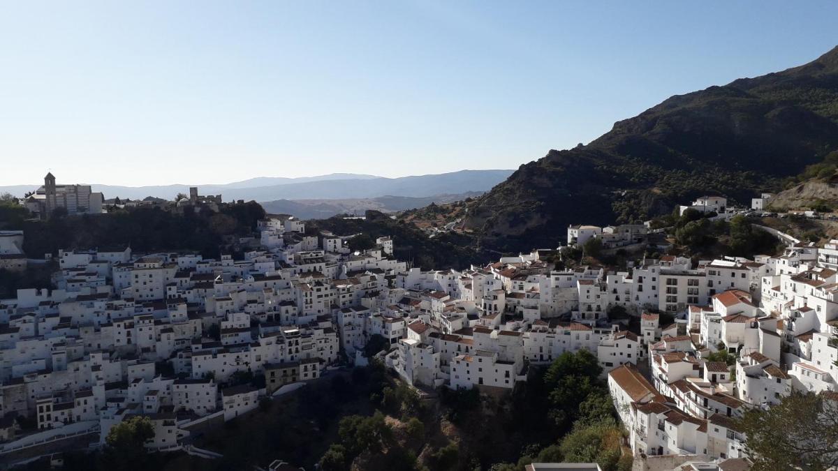 Village house Casares Pueblo - Housity
