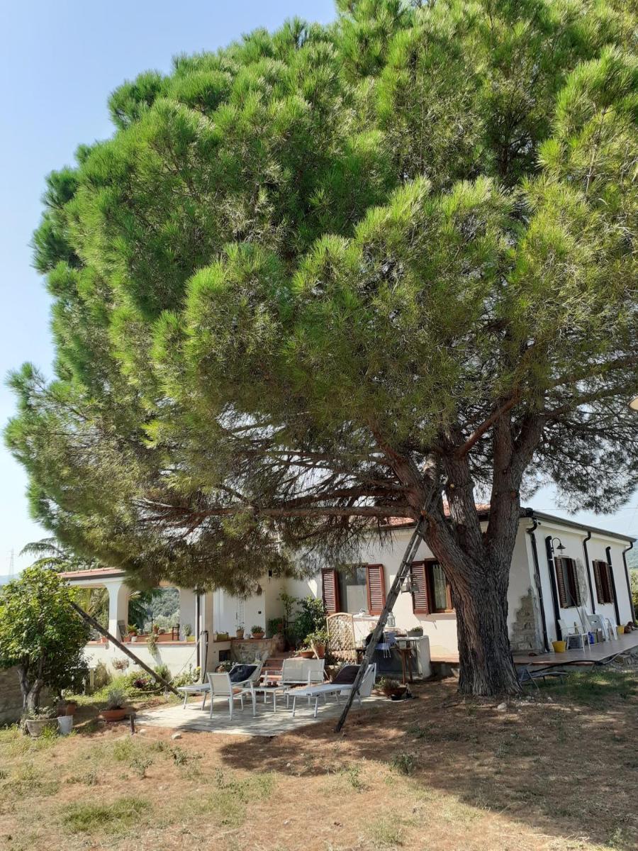Dimora del Sole - Housity