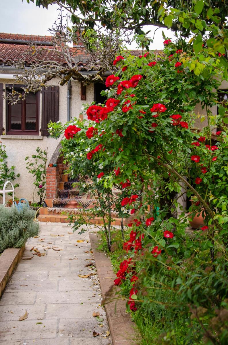 La petite Pierrette - Housity