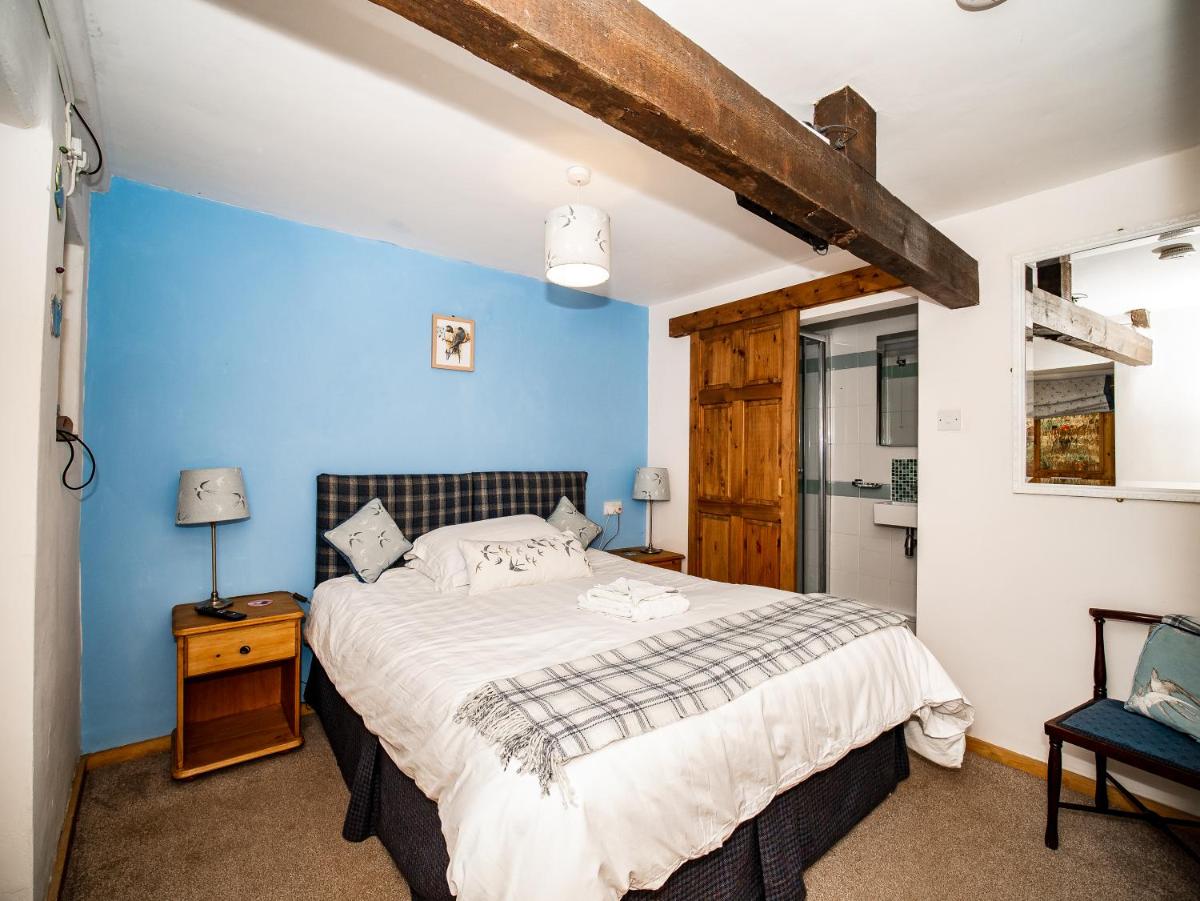 Stag's Head - Housity