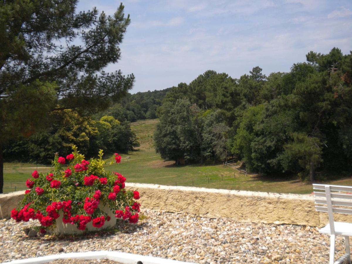 Paysage naturel près de l'hôtel