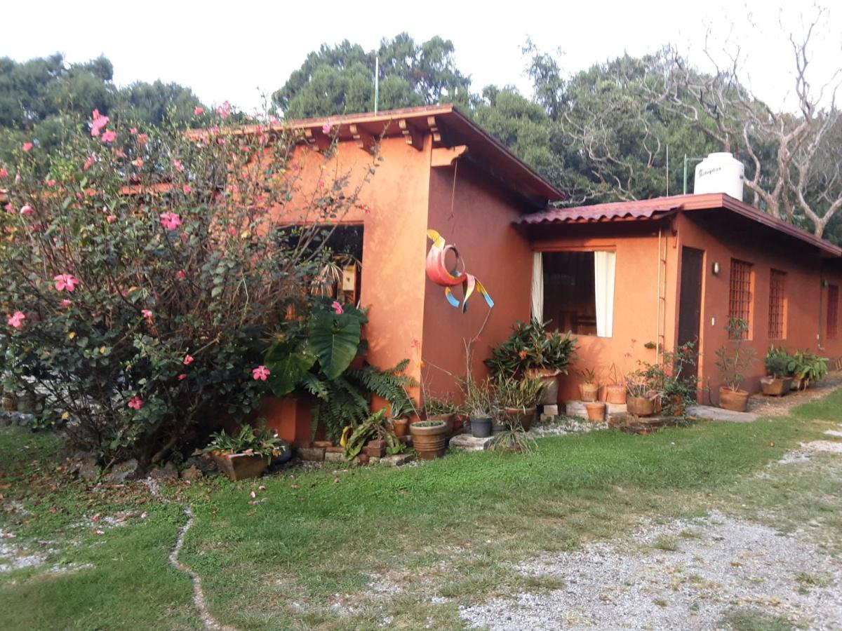 Bungalow Cuauhtempa - Housity