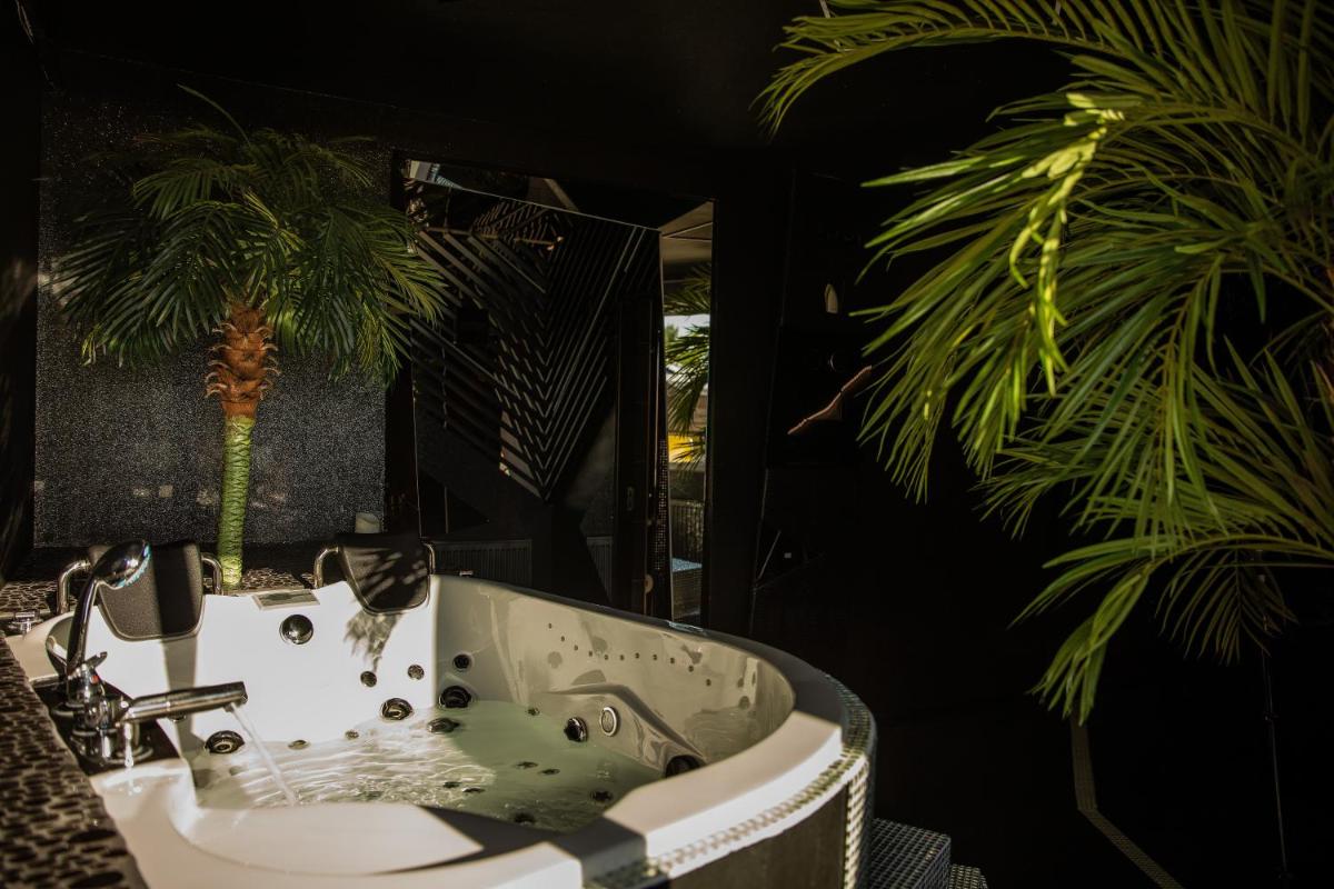 Excentric Studio 2 - Housity