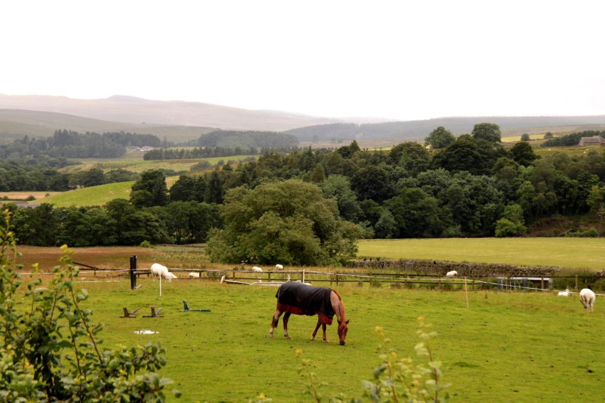 Hollybush Inn - Housity