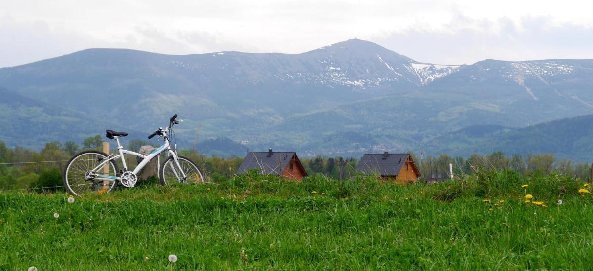 Domki Sowi Kamień - Housity