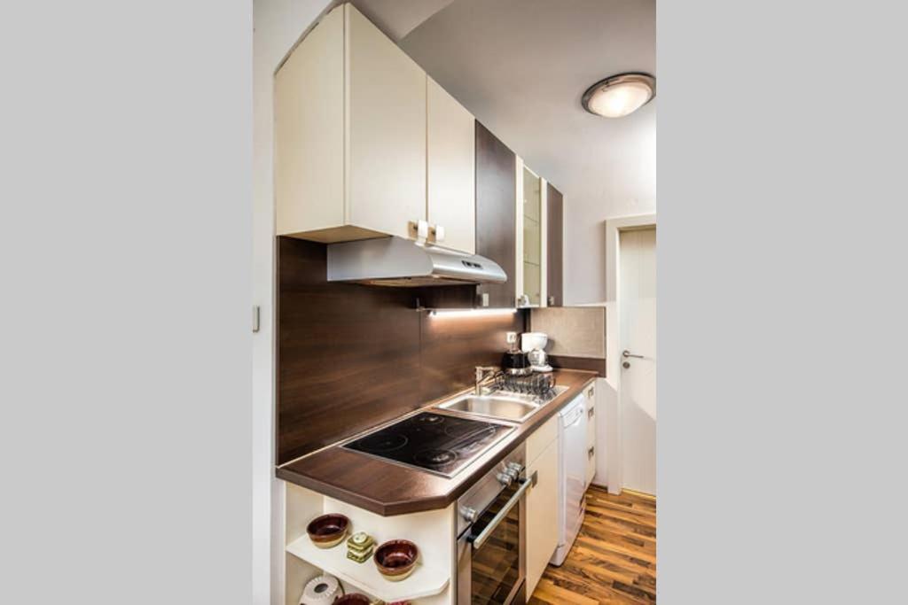 Cosy Apartment near Stephansplatz - Housity