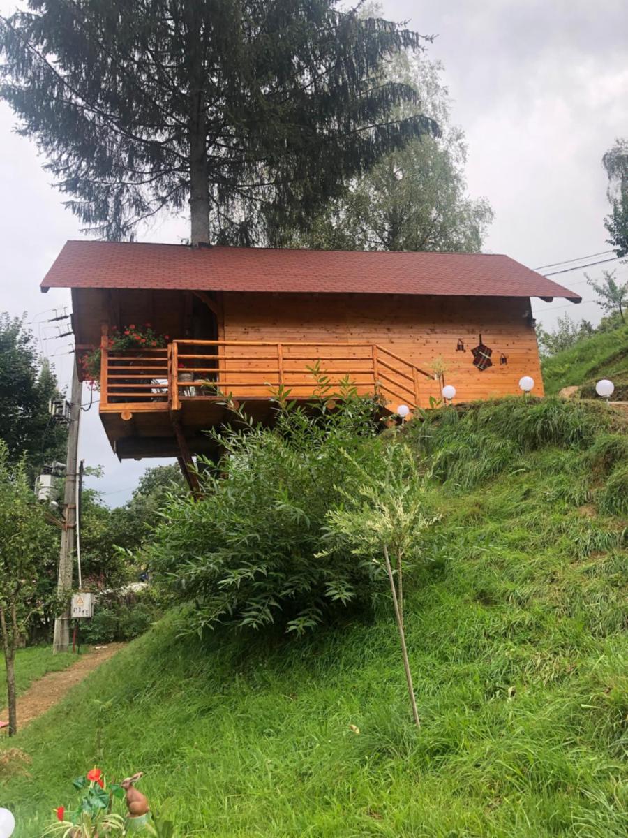 Domeniul Horj Casa din Deal Moisei - Housity