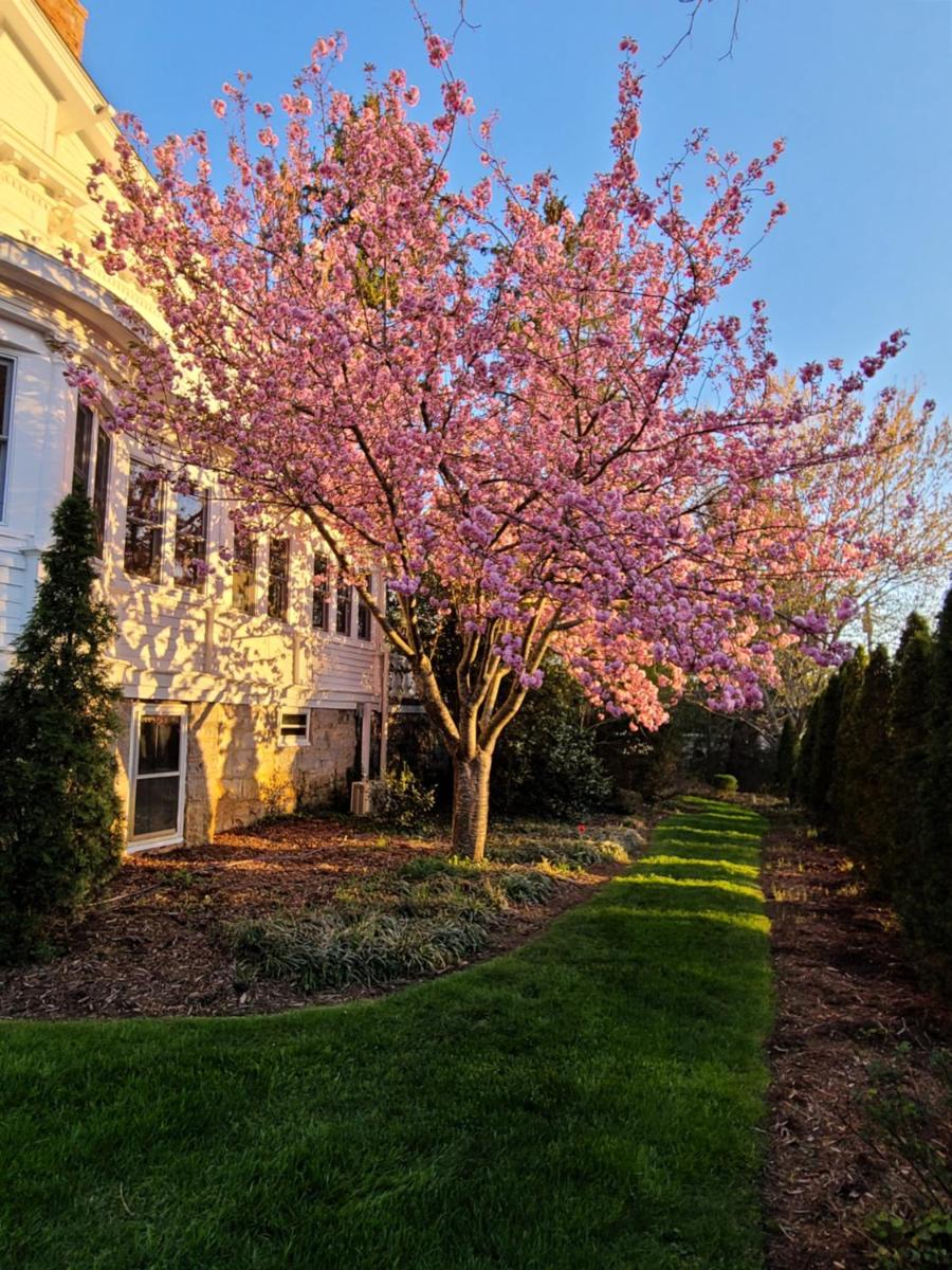 Suitetrails - Albemarle Inn - Asheville
