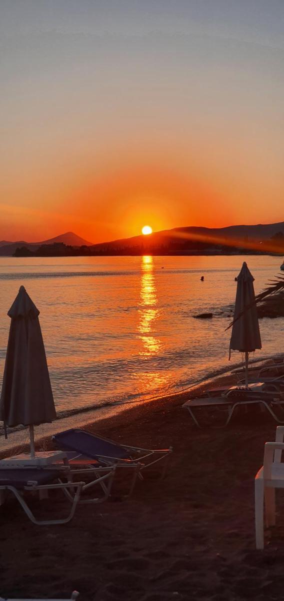 Artemis Hotel - Housity