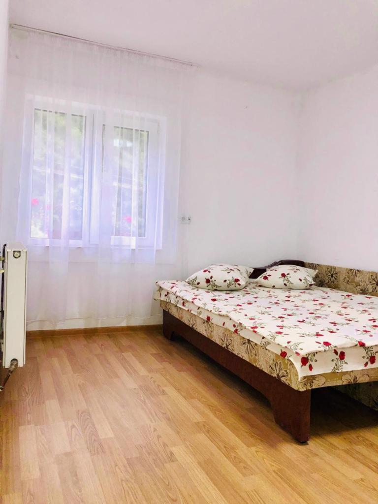 Casa Craciun - Housity