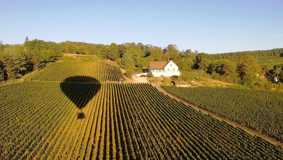 Le Mont Laurent - Housity