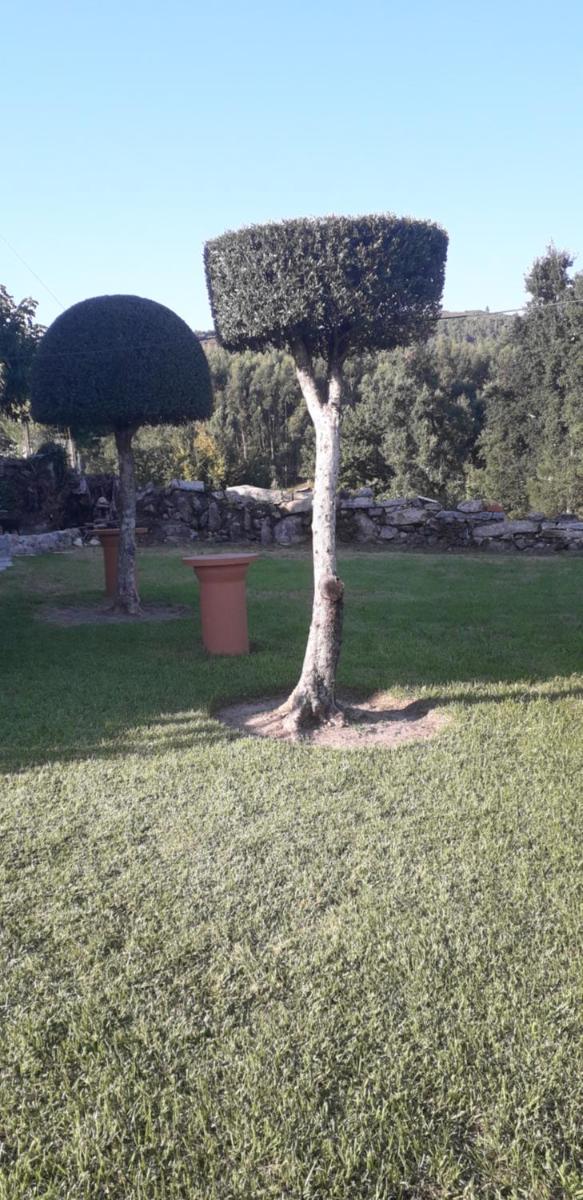 Vivenda Agostinho (Casa de Férias) - Housity