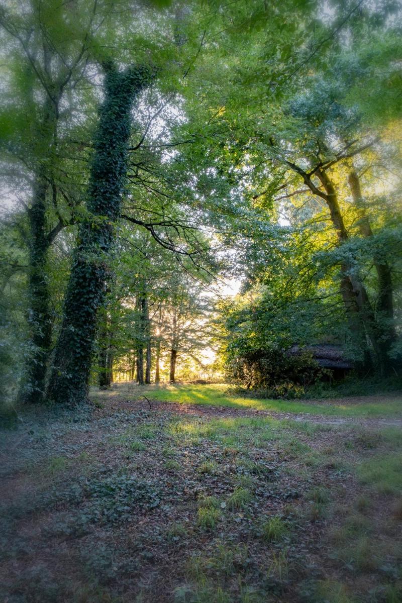 Paysage naturel près de l'hôtel