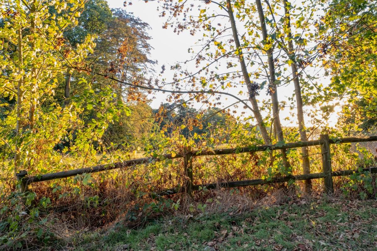 Paysage naturel près de l'hôtel