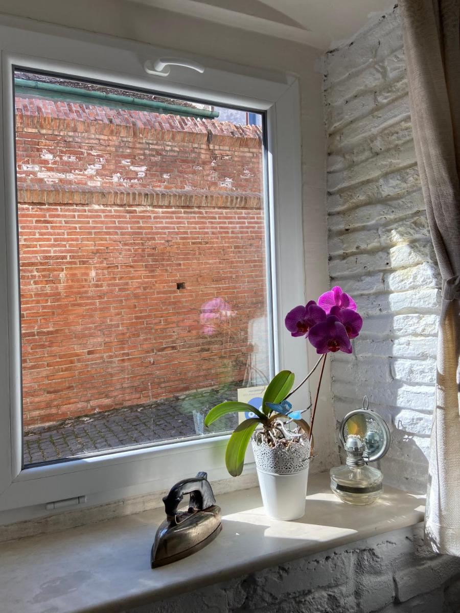 Brick Wall - Housity