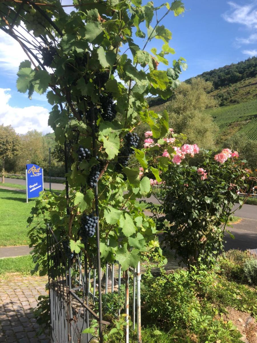 Haus Nummer 1, Moselblick - Housity