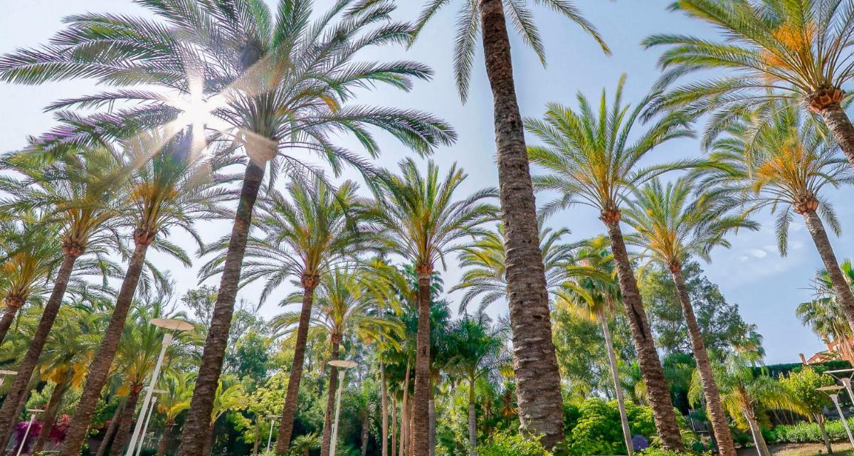 Jardín al aire libre en Alanda Marbella Hotel & Wellness