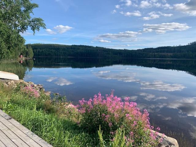 Galasjön 132 - Housity