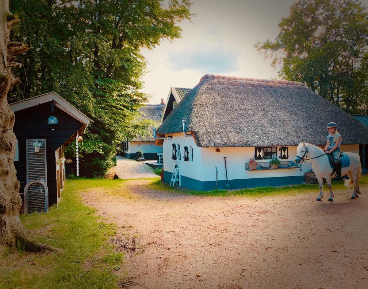 Bakhuisje op de Veluwe - Housity