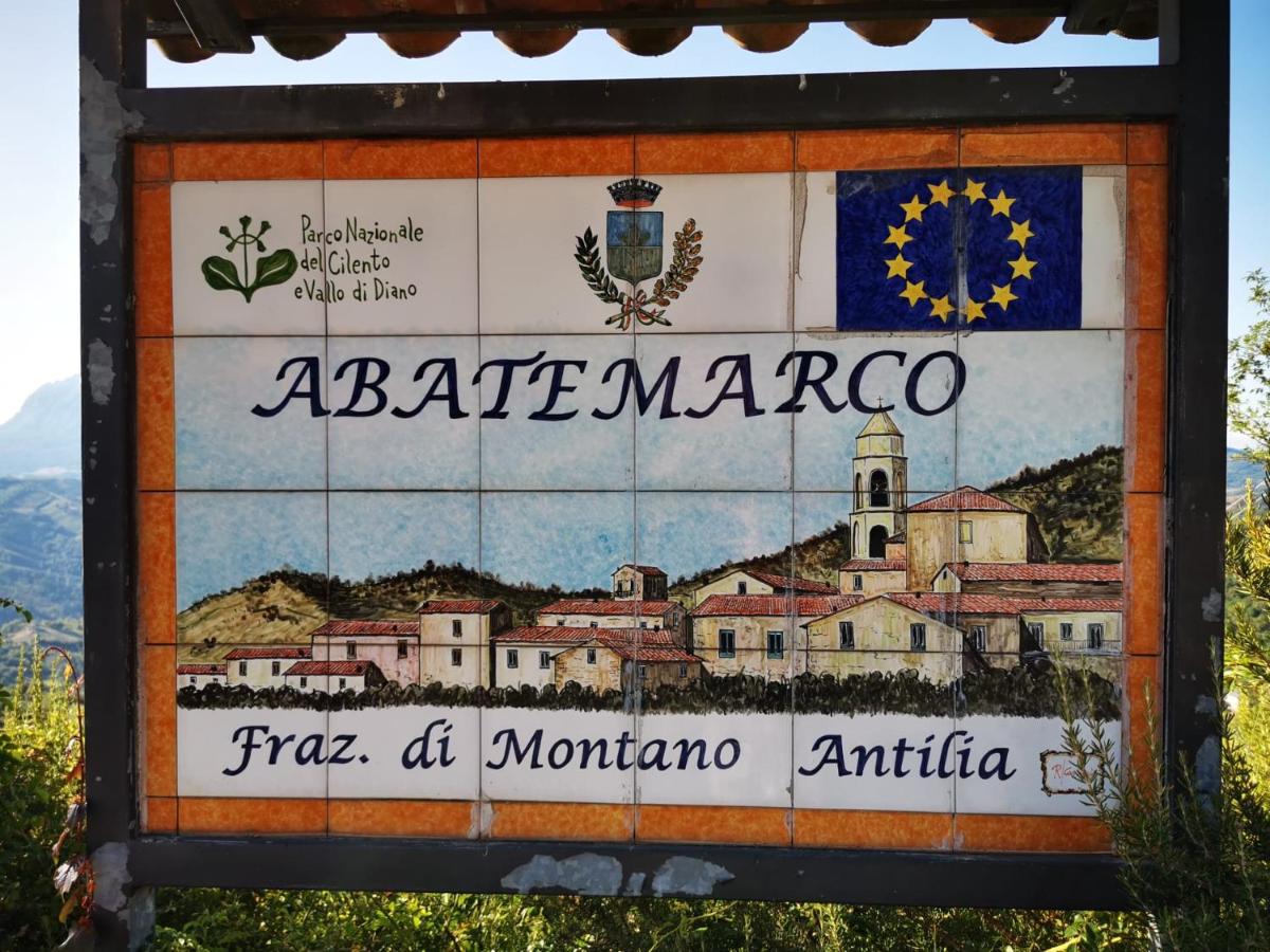 mansarda fiorita - Housity