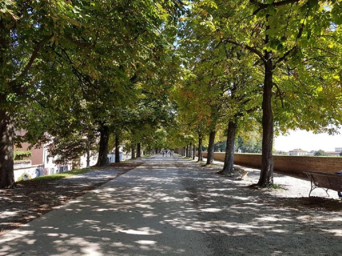 CozyBricks in Lucca - Apartments in Lucca Historical Center - Air Cond & WiFi - - Hizvo