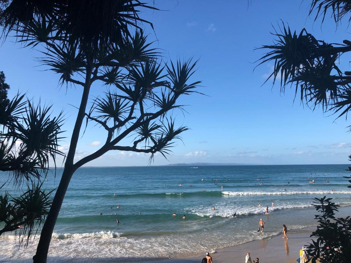 Orchard Cottage - modern Australian Sunshine Coast holiday cottage on organic farm nr beach - Housity