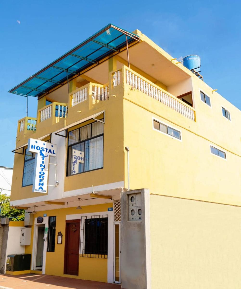 Tintorera Guest House - Housity