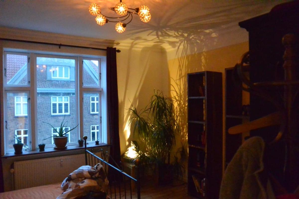 Sunny and charming loft - Housity
