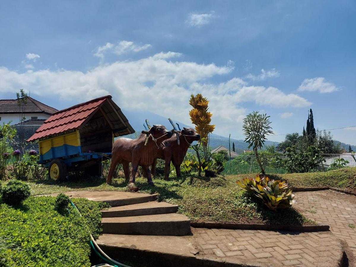 Omah Kayoe Elok - Housity