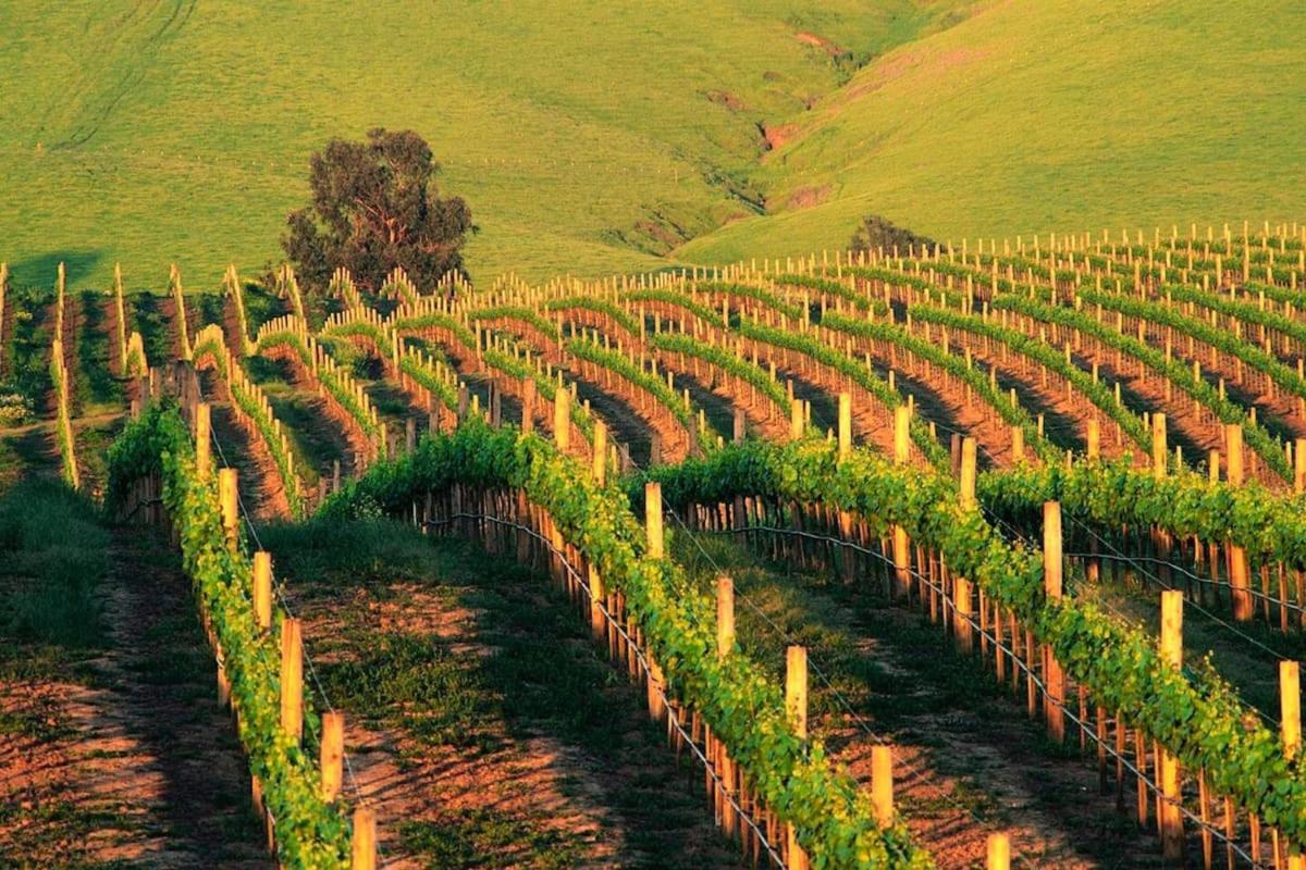 Spectacular Stay at Silverado in Napa - Housity