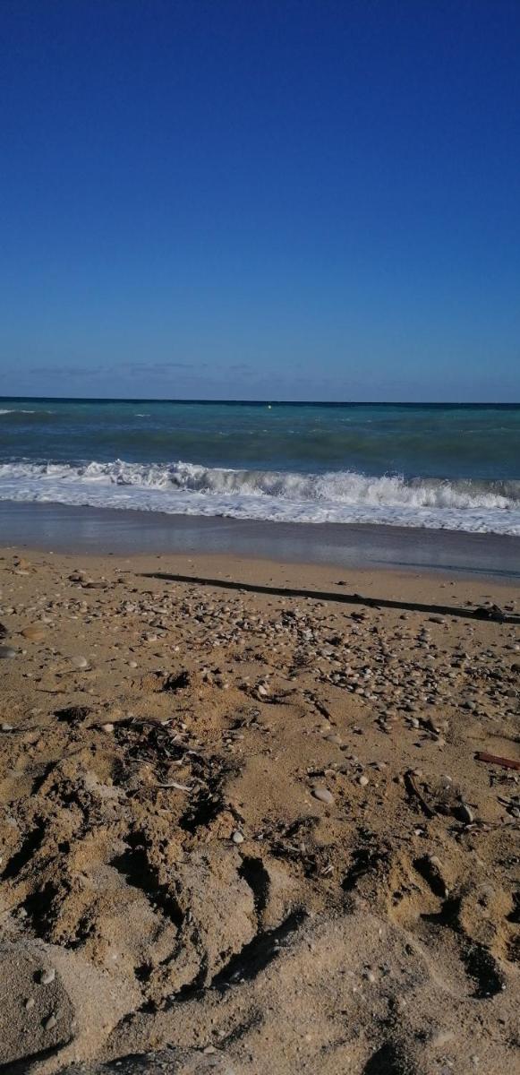 Apartamento entero en la playa san juan Benacantil - Housity