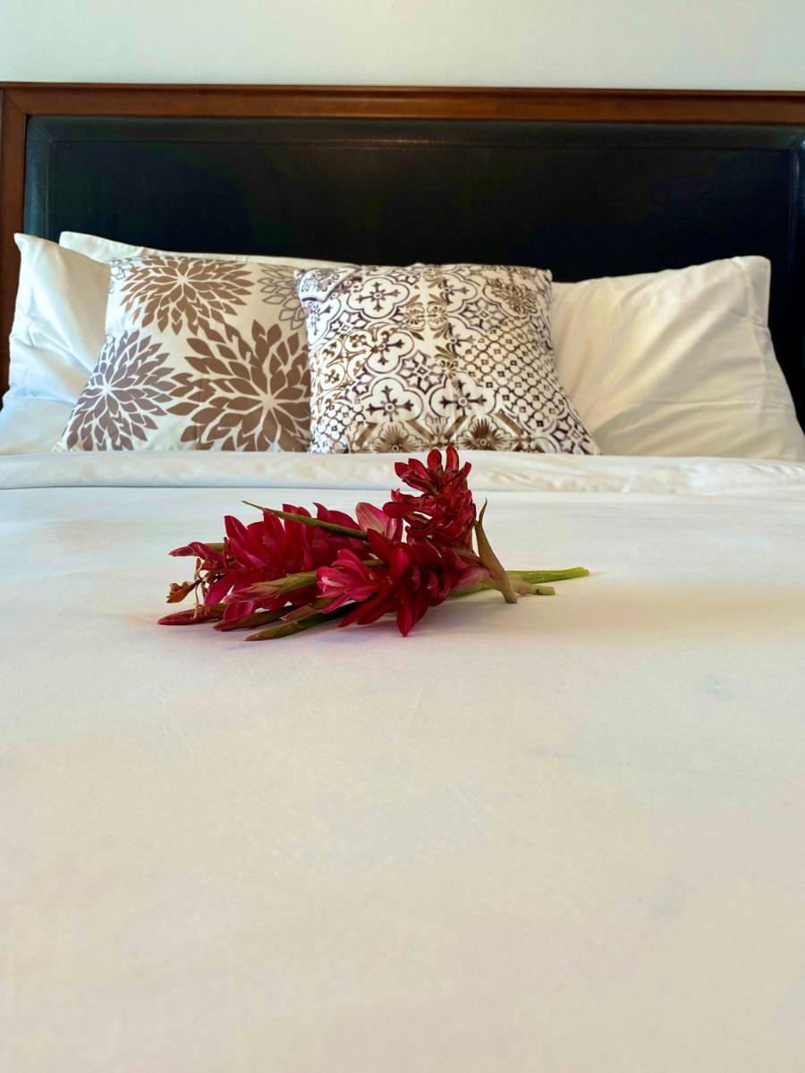 La Vista Azul Resort - Studio - Housity