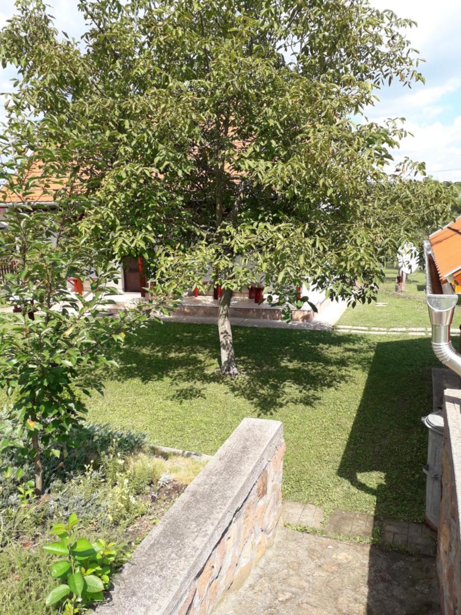Suitetrails - Mátyás Apartman