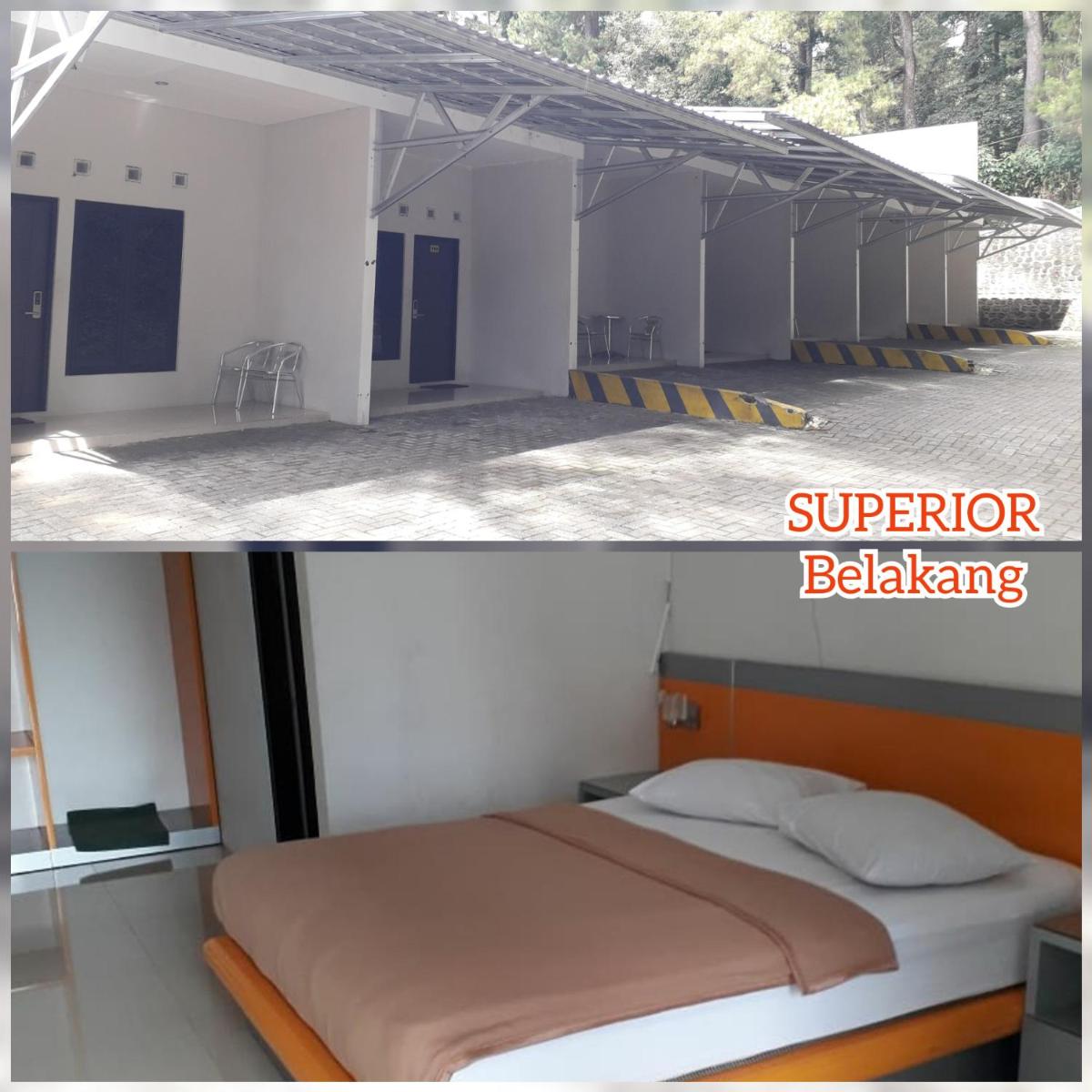 Surya Hotel & Resort - Housity