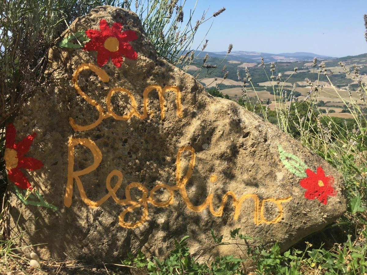 Villa San Regolino whit private pool - Housity