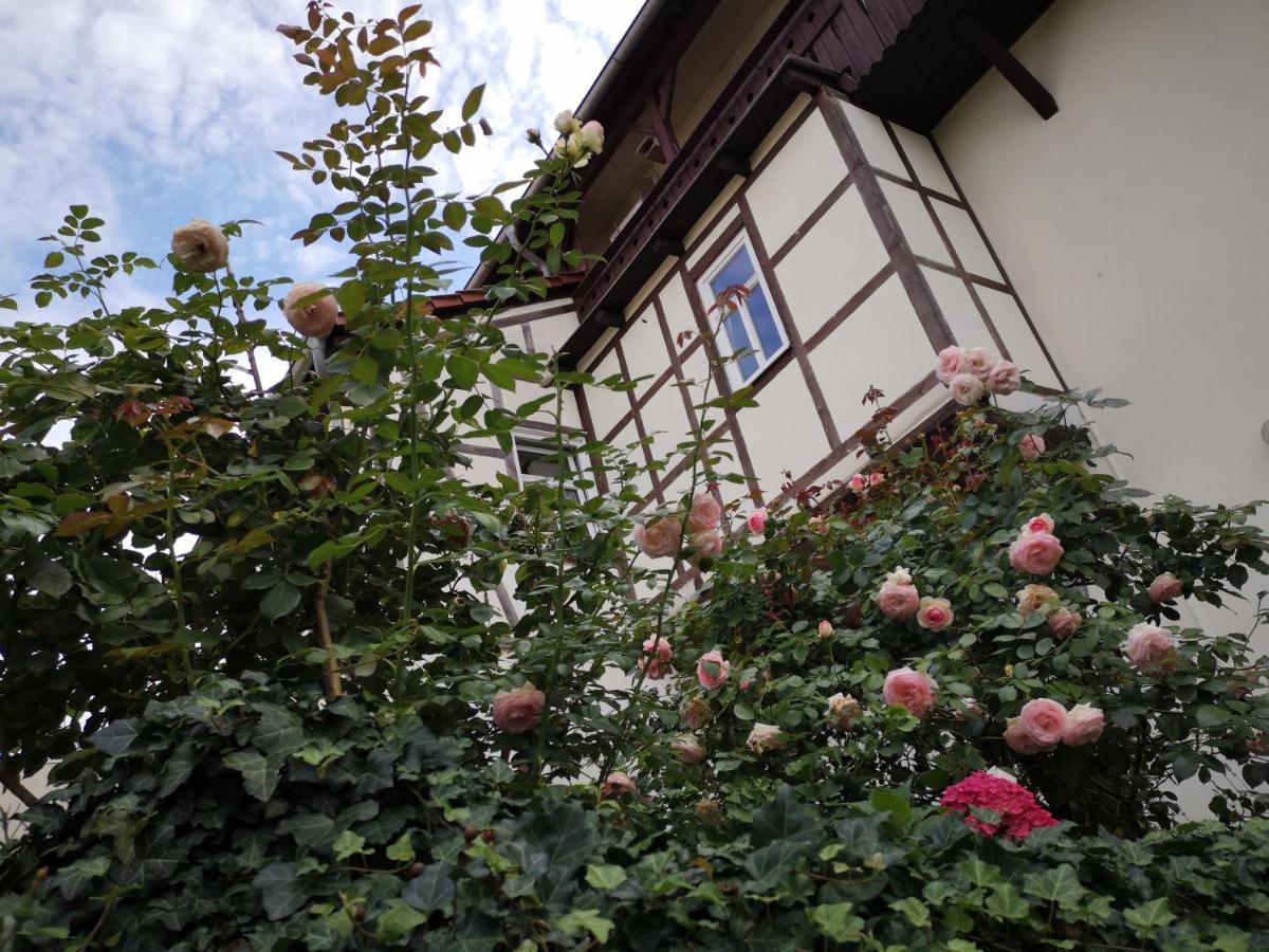 Altes Standesamt Weißensee - Housity