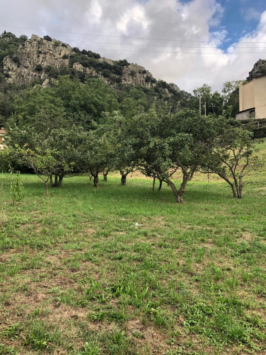 La Pommeraie - Housity