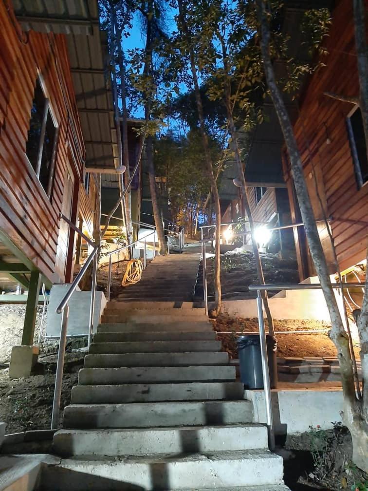 Utan Teluk Nipah - Housity