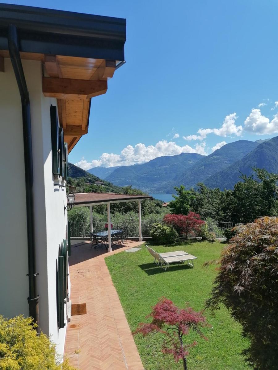 Villa Daniela - Housity