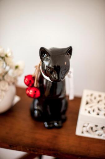 The Black Kitten II - Housity
