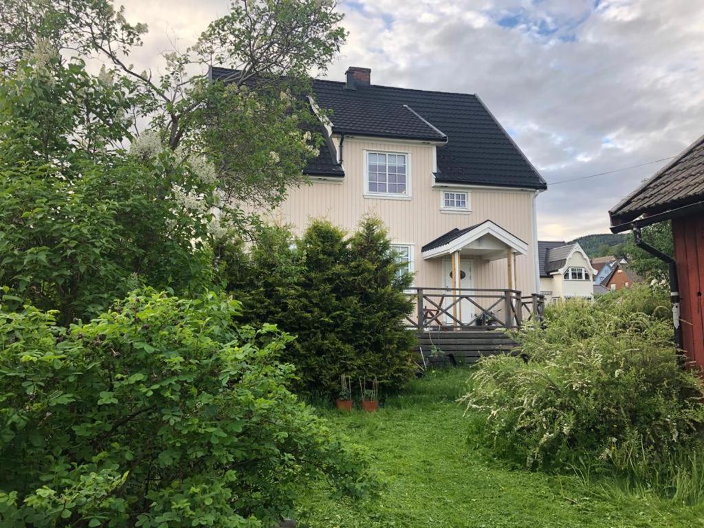 Central, large and light apartment in the middle of the city - Housity