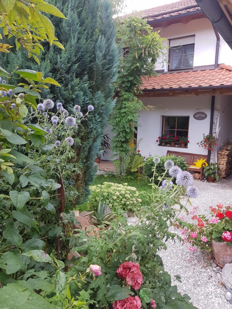 Gastezimmer Nahe Wesslinger See - Housity