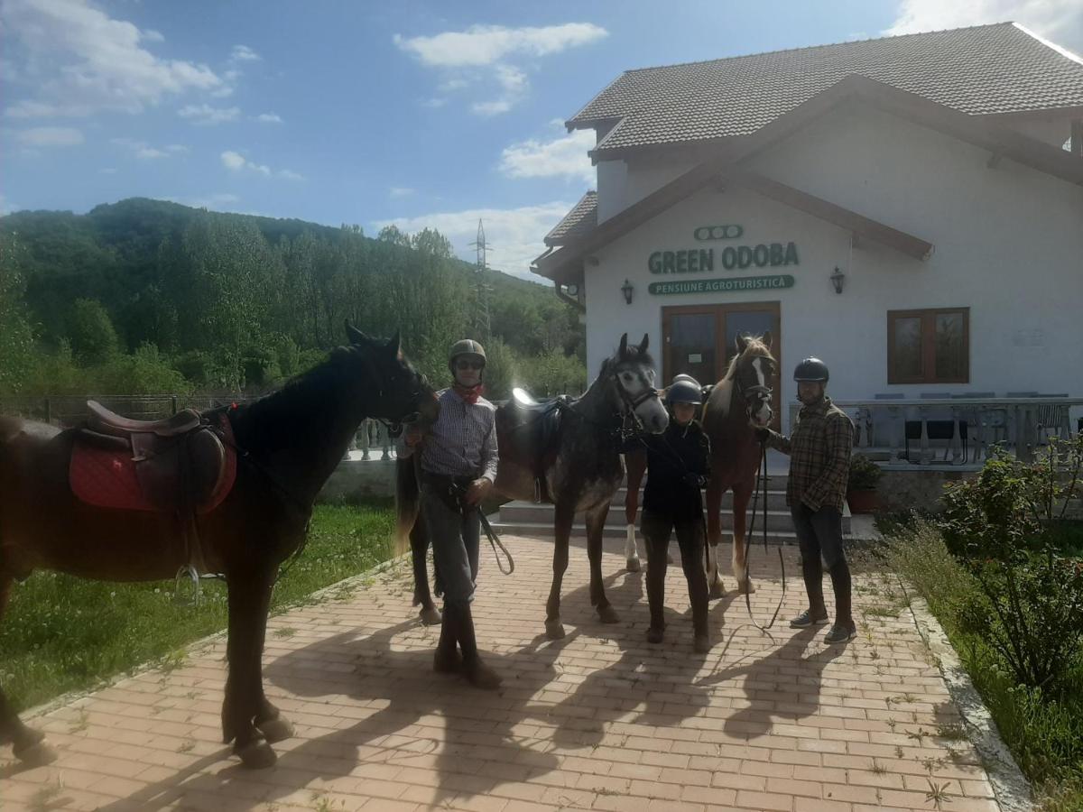 Pensiunea Agroturistica Green Odoba - Housity