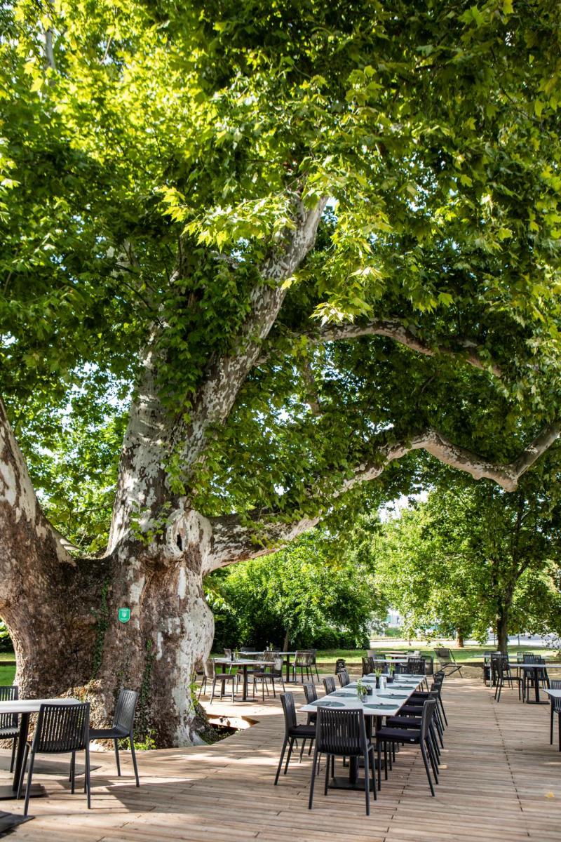 Hotel Restaurant Joseph - Housity